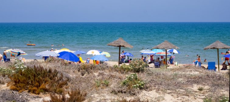 Image of Dunas de playa de Guardamar 