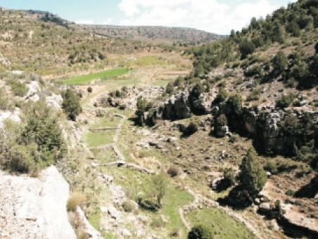 Yacimiento Ibérico de la Cueva