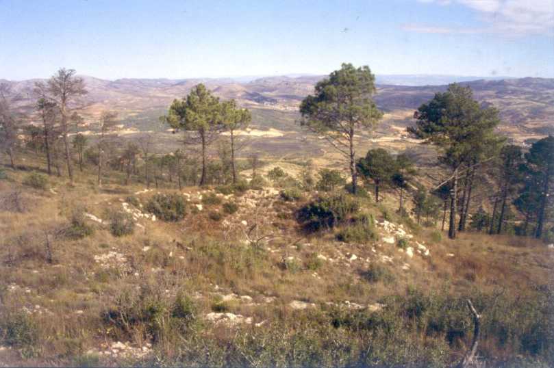 Image of Nevera del Pico