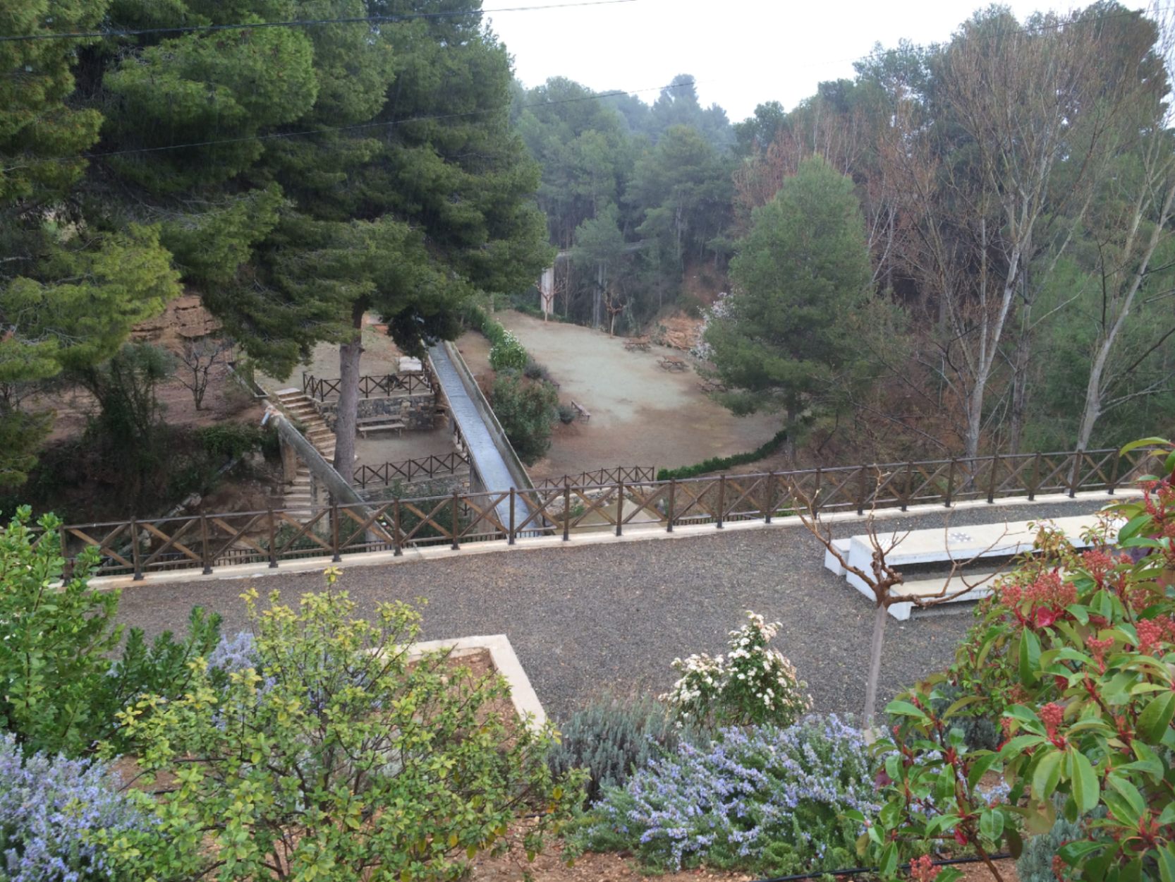 Image of Paraje Natural de la Fuente del Berro