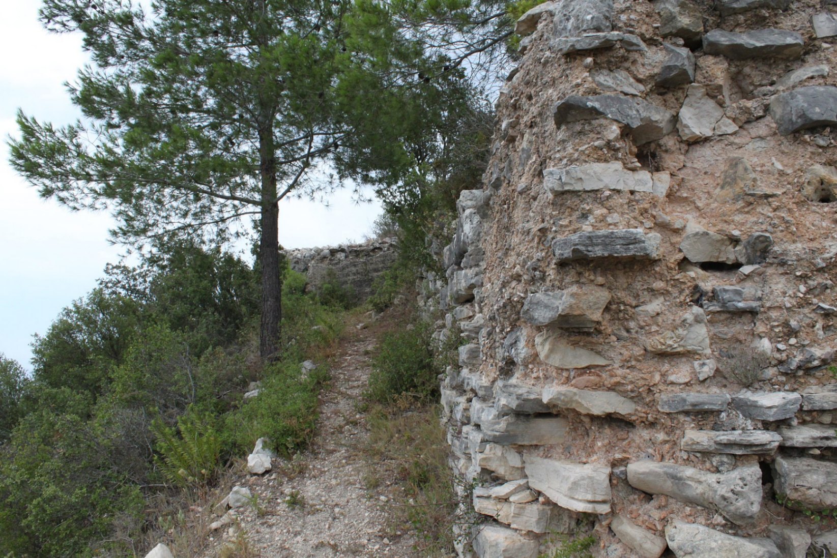 Image of Castillo de la Carbonera