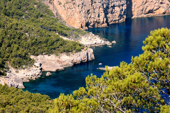 Image of Ibiza, biodiversidad y cultura
