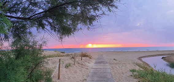 Playa de Oliva