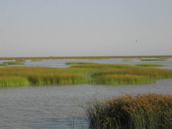 Image of Parque Nacional de Doñana