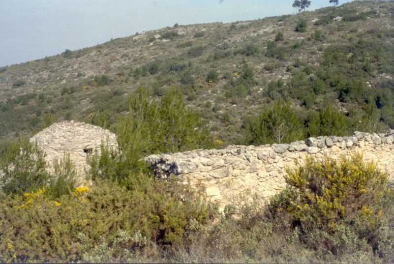 Image of Nevera de la Lloma Solaneta