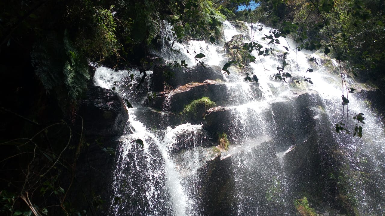 Image of La quebrada Las Delicias