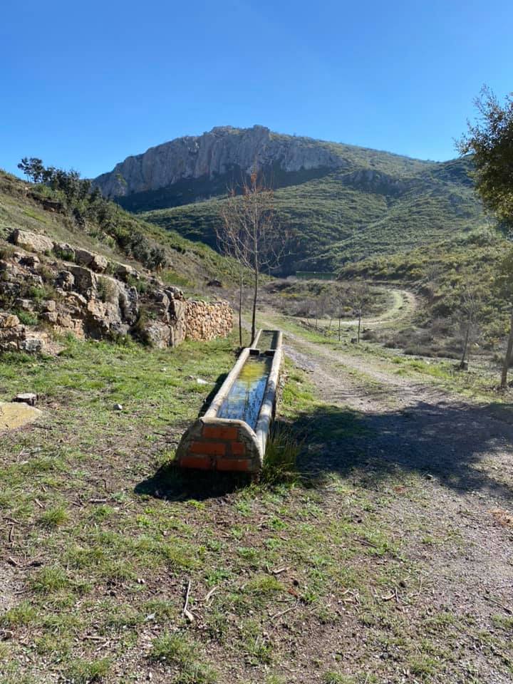 Image of Paraje Natural Municipal "La Torrecilla-Puntal de Navarrete"