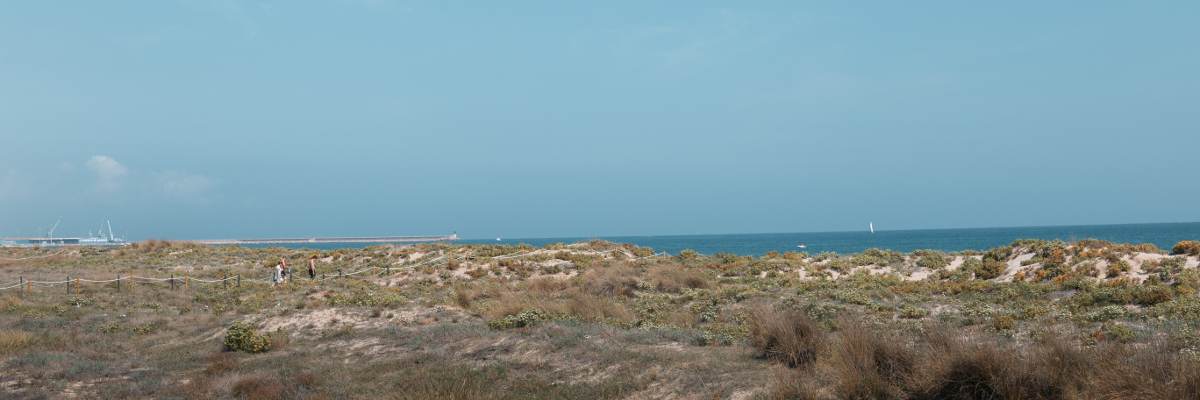Image of Playa de Daimús