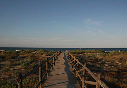 Image of La platja de l