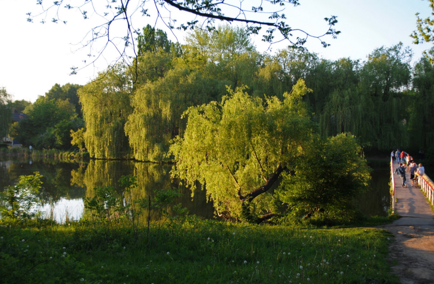 Image of Vinnytsia Botanical Garden "Podillya"