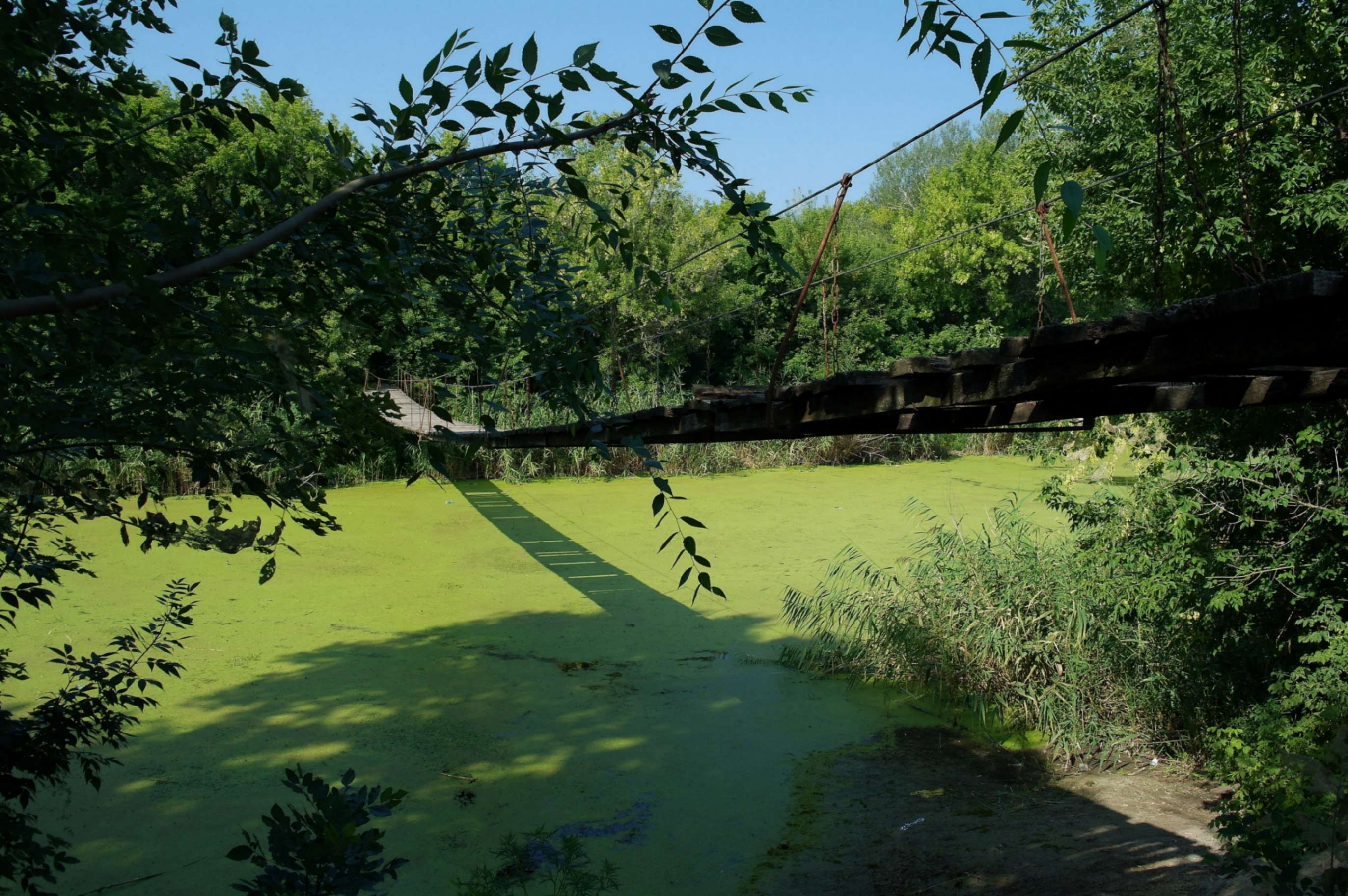 Image of Park "Miluvatskyi Vodoliy"