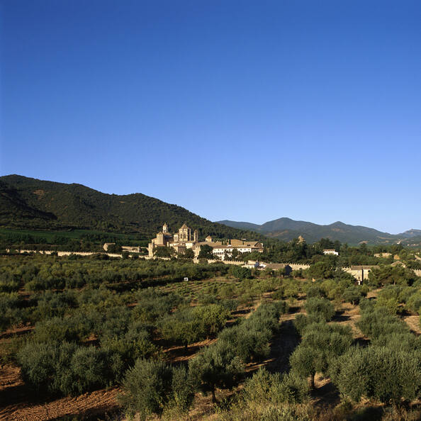 Image of Monasterio de Poblet