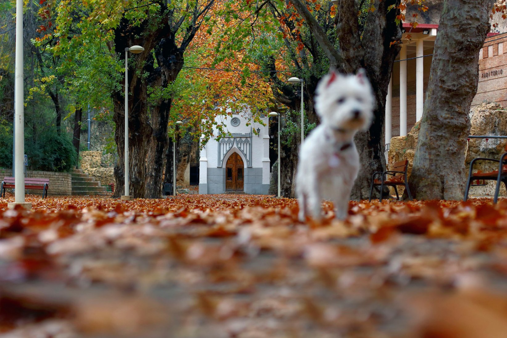 Parque de San Luis