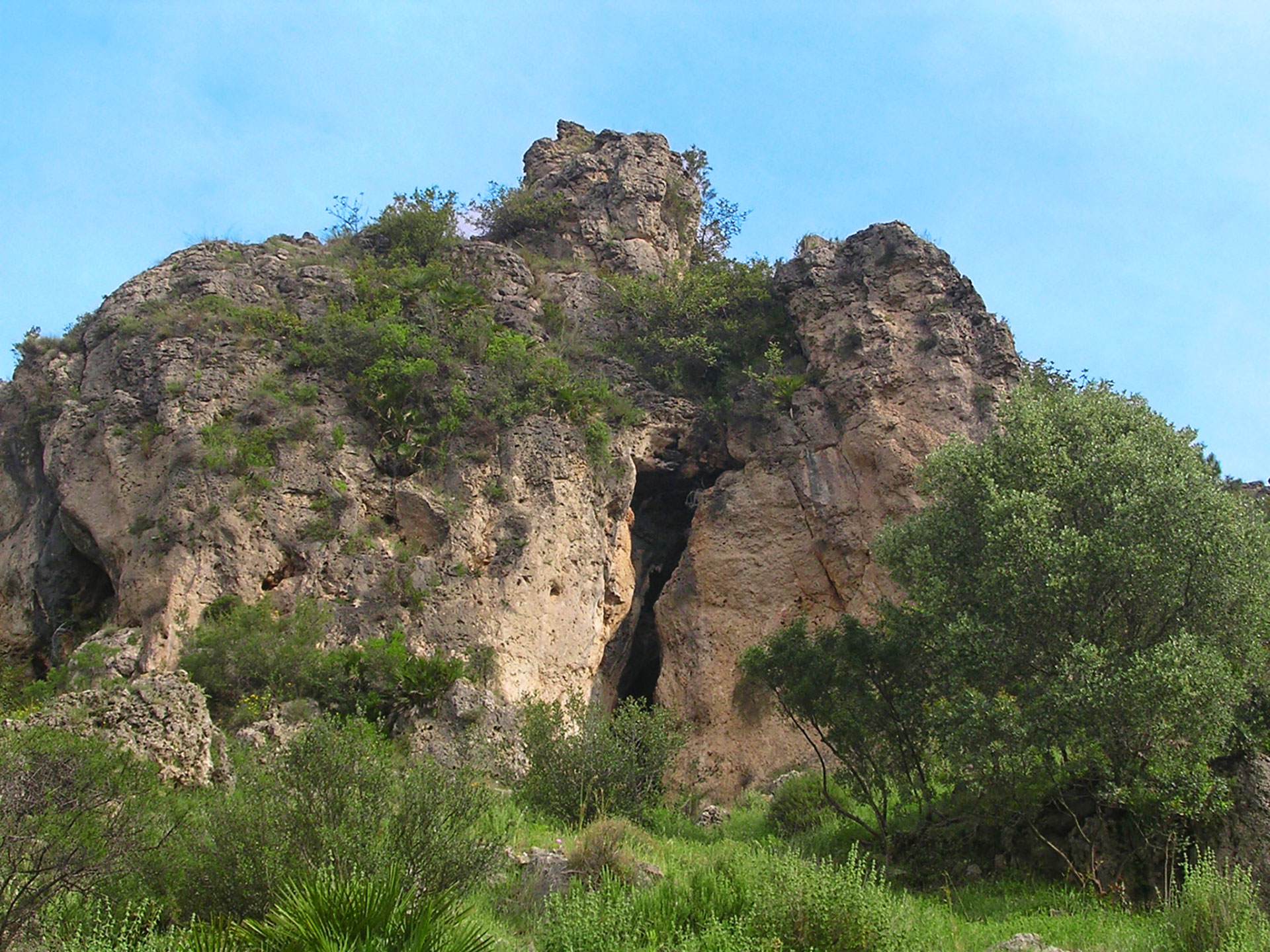 Image of Cova del Parpalló